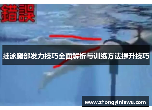 蛙泳腿部发力技巧全面解析与训练方法提升技巧